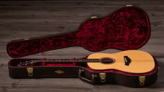 قیمت و خرید گیتار آدمیرا خوآنیتا EFC